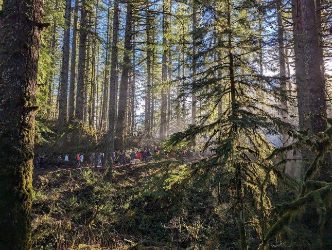 Oregon State Park’s New Years Day guided hikes near Woodburn