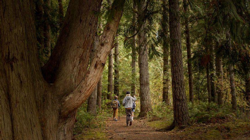 Clackamas County Tourism funds new Hopkins Forest app
