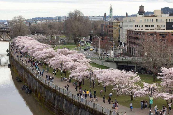 Looking for travel ideas this year? The New York Times includes Portland among its top destinations