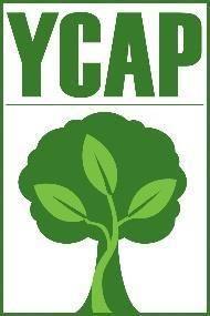 YCAP IN ACTION: Healthy Homes in Yamhill County mean healthier futures for all